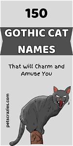Unveil the Rich Tapestry of Black Names Starting with S