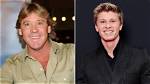 Unveiling Robert Irwin's Net Worth: Discoveries and Insights