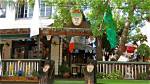 Unveiling the Charm of the Dubliner Tampa Fl: Discoveries and Delights