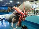 Unveiling the Colossal: Discover the Largest Shopping Mall in the United States