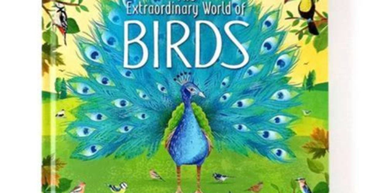 Unveiling the Extraordinary World of Taras Wrld: Discoveries and Insights