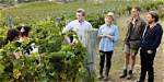 Unveiling the Heart of "Under the Vines" Season 3: Discoveries and Revelations