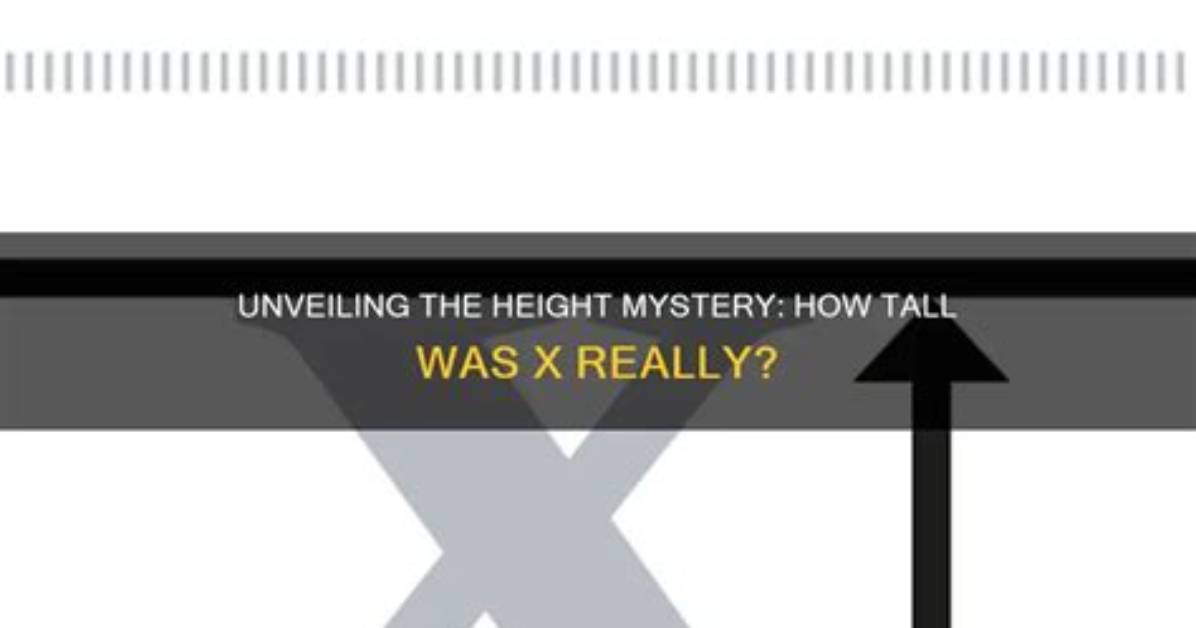 Unveiling the Height Mystery: How Tall Is Chappell Roan?