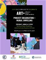 Unveiling the Latest Projects and Activities