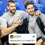 Unveiling the Legacy of the Gasol Family: Basketball Royalty from Spain