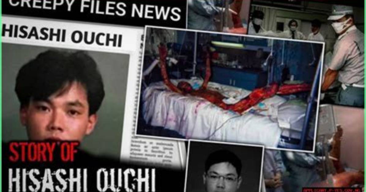Unveiling the Life Through Hisashi Ouchi Pictures