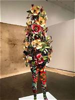 Unveiling the Multifaceted Heidi Jones: Discoveries and Insights