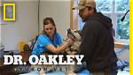 Unveiling the Multifaceted Roles of Dr. Oakley's Daughters: Discoveries and Insights