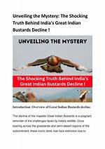 Unveiling the Mystery and Uncovering the Truth