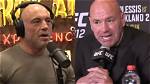 Unveiling the Private World of Dana White's Wife