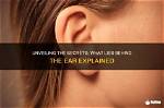Unveiling the Secrets of Mcgregor Ear: Your Ultimate Guide