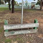 Unveiling the Talents of Harry Mccormick: the Rising Actor