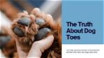 Unveiling the Truth: "Teens Suck Dogs"