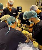 Unveiling the Wonders of Tattooing Under Anesthesia: a Transformative Journey