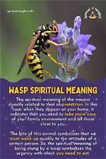 Wasp Spirit Animal Totem Meaning: Positive Steps ·