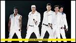 What Band Was Donnie Wahlberg Famous for?