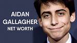 What Is Aidan Gallagher's Net Worth: a Comprehensive Guide