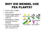 What Pea Plants Did Mendel Use? ·