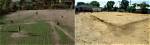 Where Was the Sandlot Filmed?