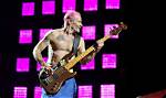 Who Gave Flea His Nickname?