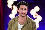 Who Is Niall on 'The Voice'? Meet the Judge and 1D Star |