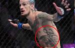 Why Did Sean O'malley Cover His Tattoo?