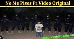 Ya No Me Pises Pa: the Cultural Impact of a Viral Song