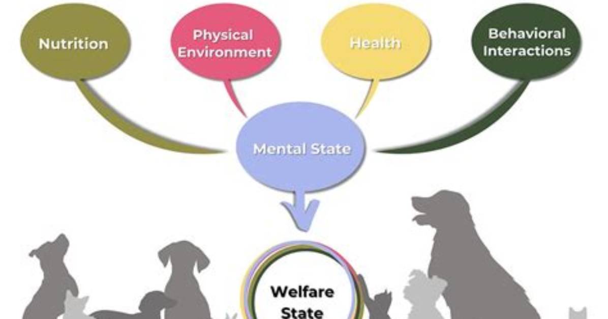Your Source for Animal Welfare